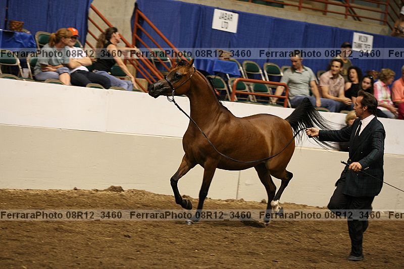 Proof 08r12_3460