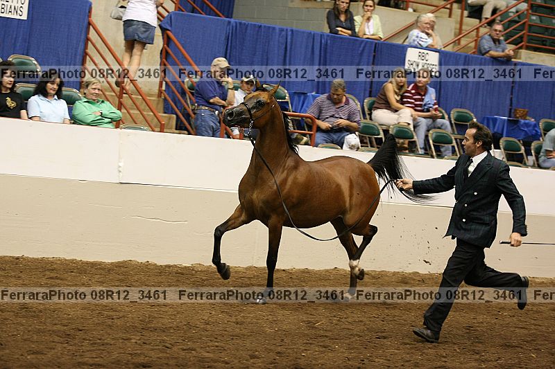 Proof 08r12_3461