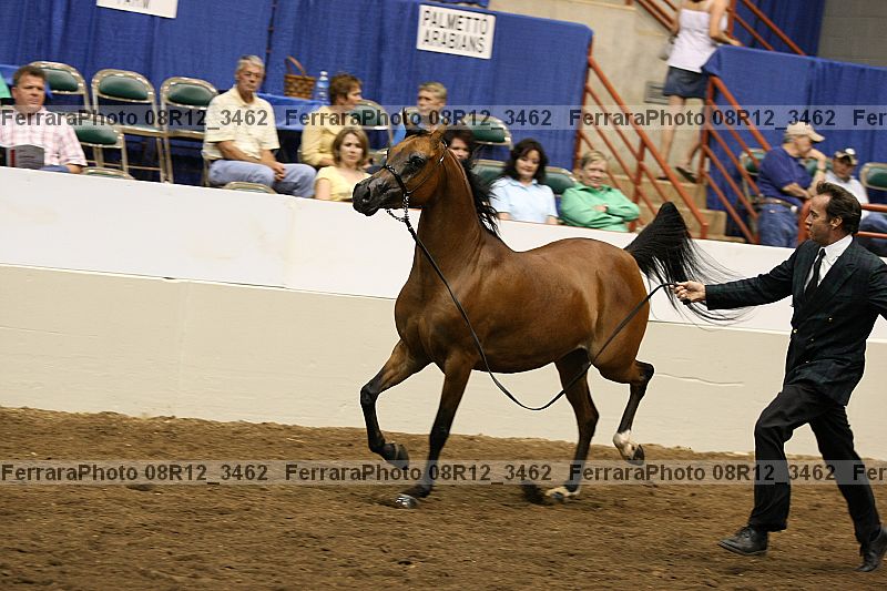 Proof 08r12_3462