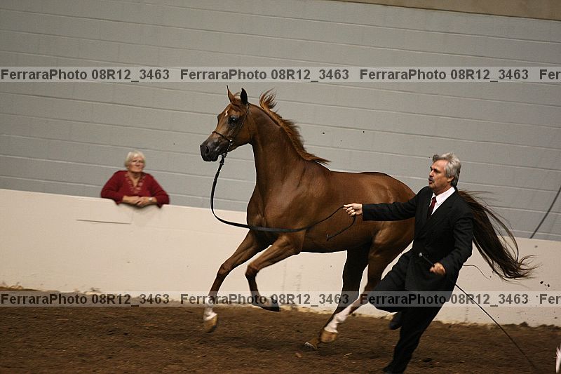 Proof 08r12_3463