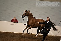 08r12_3463 proof