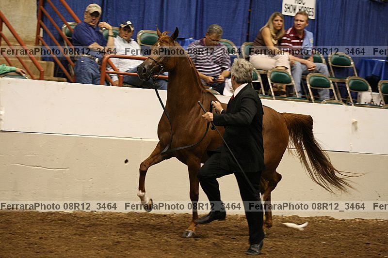 Proof 08r12_3464