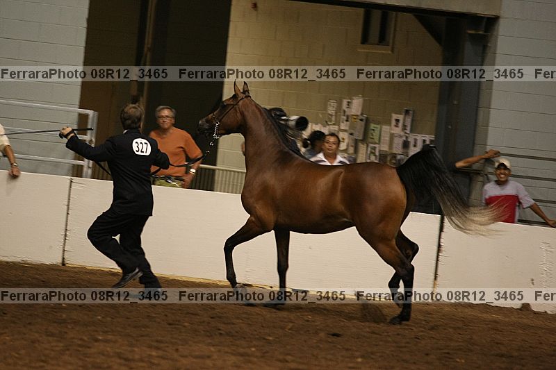 Proof 08r12_3465
