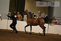 08r12_3465 proof
