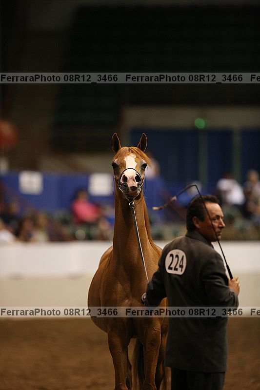 Proof 08r12_3466