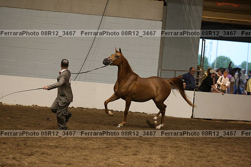 Proof 08r12_3467