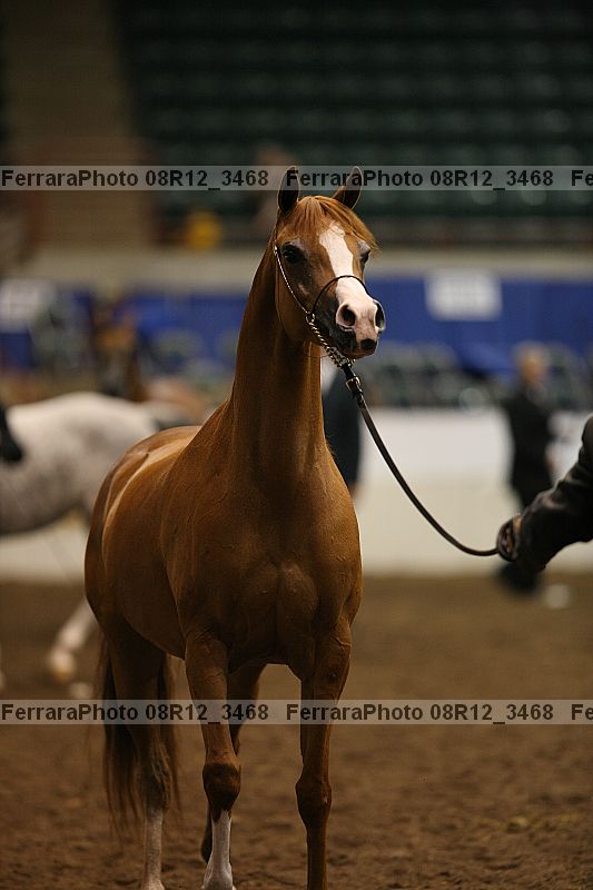 Proof 08r12_3468