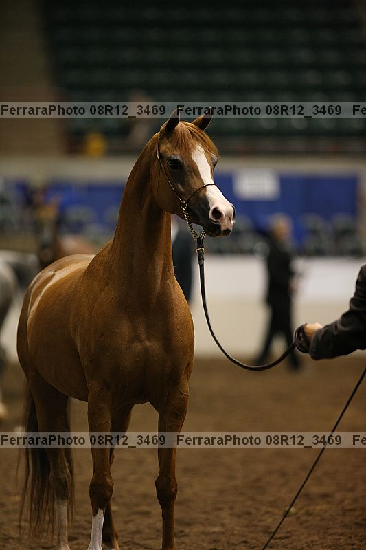Proof 08r12_3469