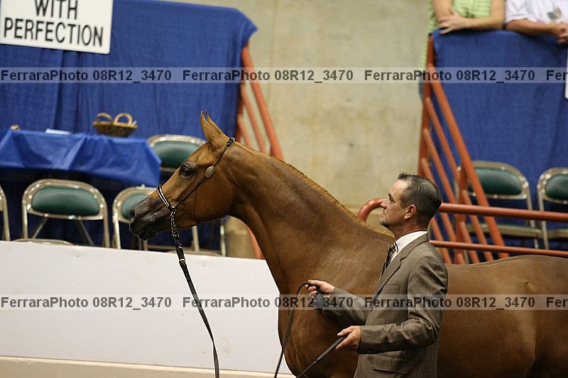 Proof 08r12_3470