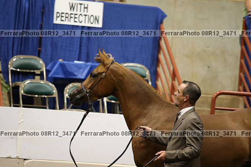 Proof 08r12_3471