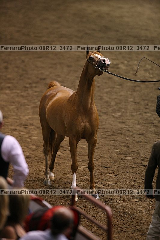 Proof 08r12_3472