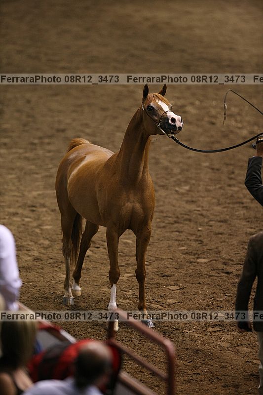 Proof 08r12_3473