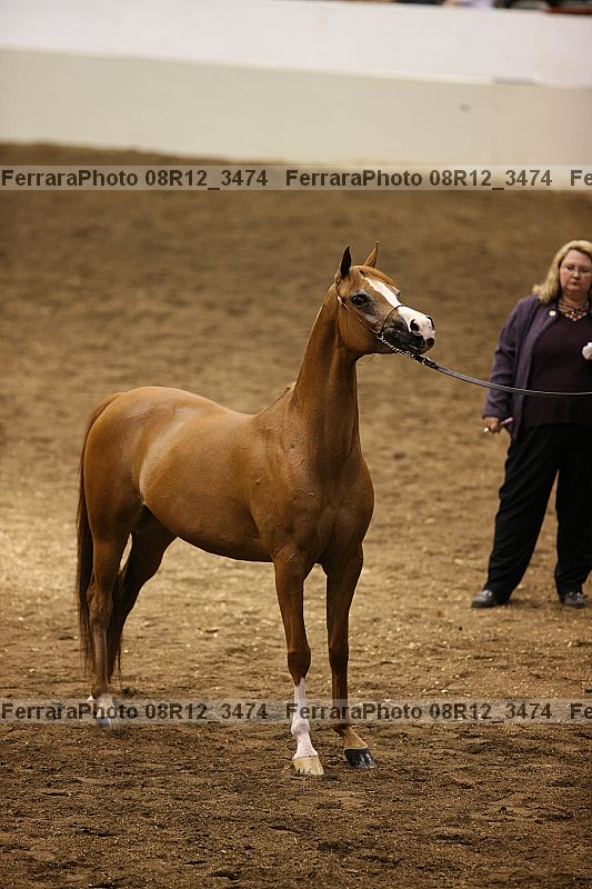 Proof 08r12_3474