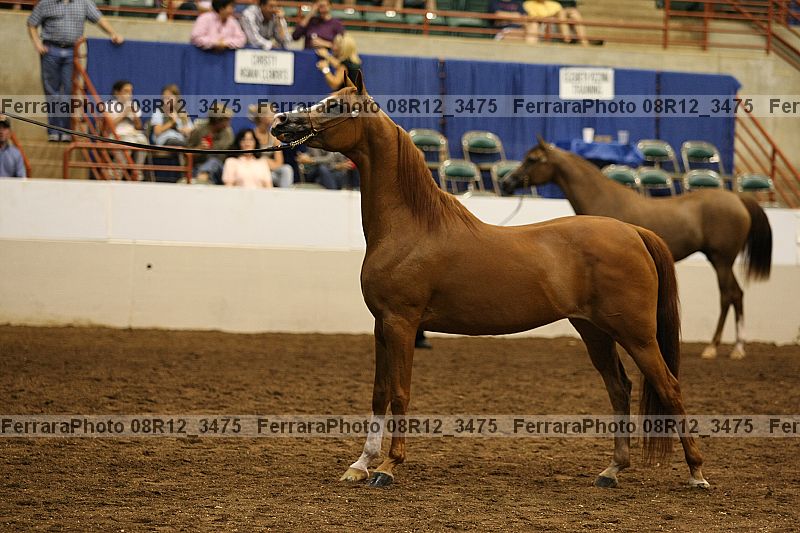 Proof 08r12_3475