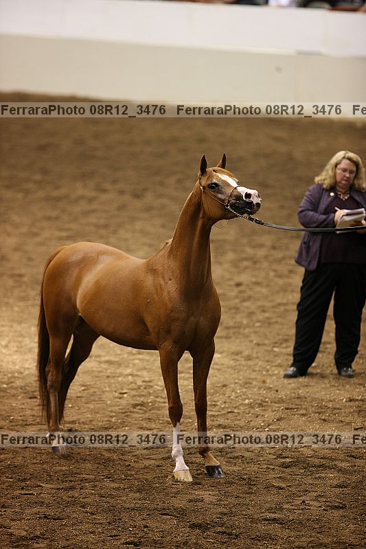 Proof 08r12_3476