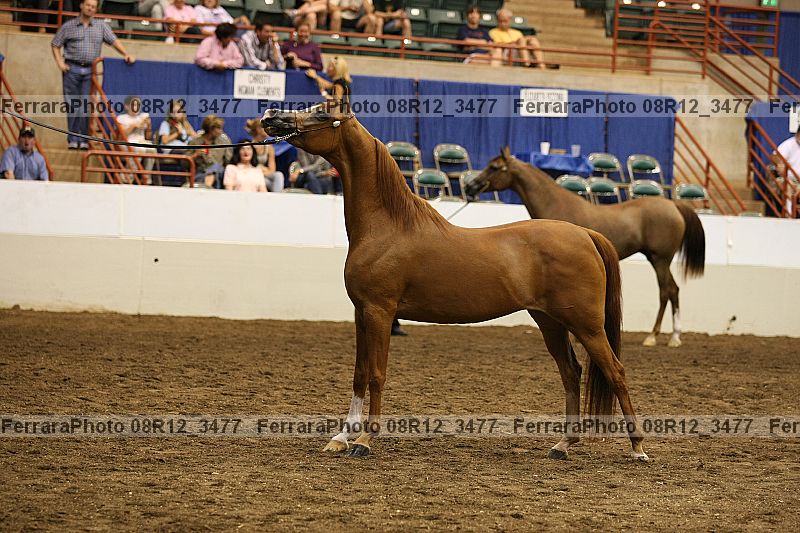 Proof 08r12_3477