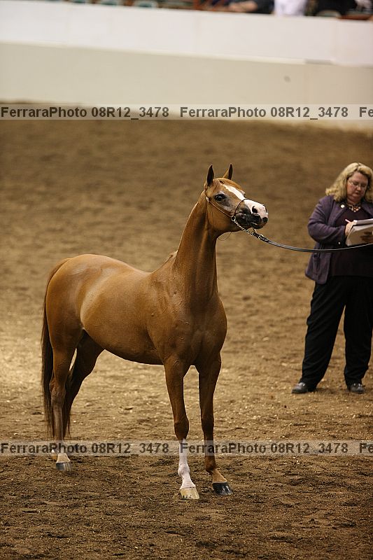 Proof 08r12_3478