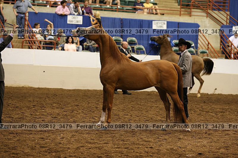 Proof 08r12_3479