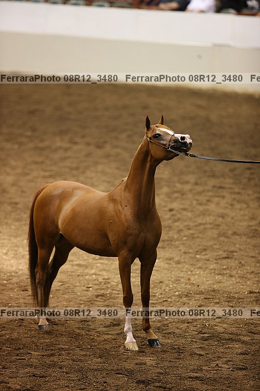 Proof 08r12_3480