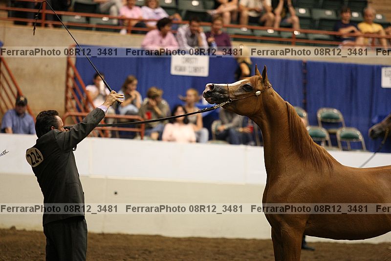 Proof 08r12_3481