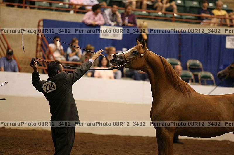 Proof 08r12_3482