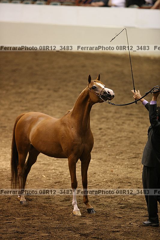 Proof 08r12_3483