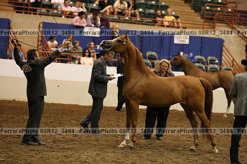 Proof 08r12_3484