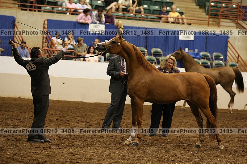 Proof 08r12_3485
