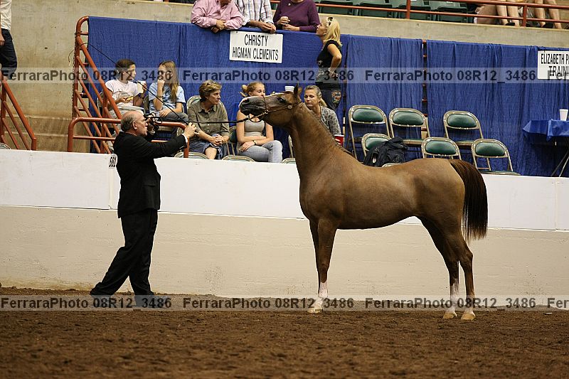 Proof 08r12_3486