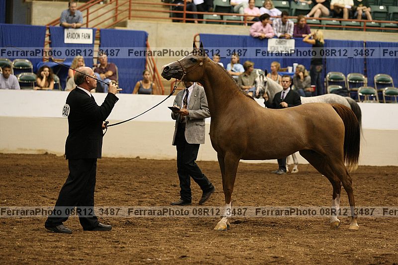 Proof 08r12_3487