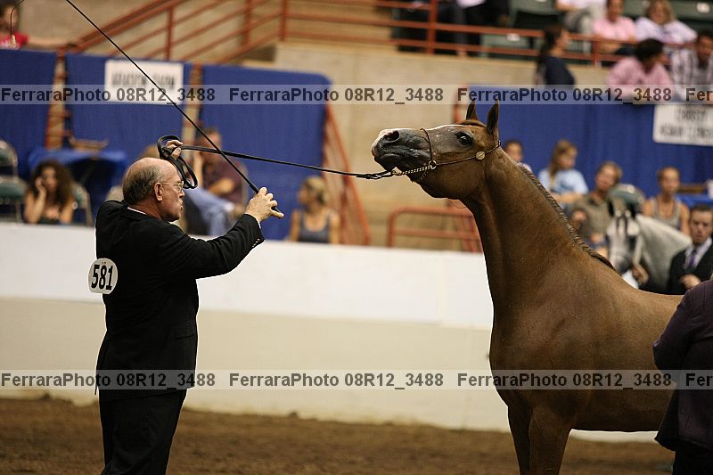Proof 08r12_3488