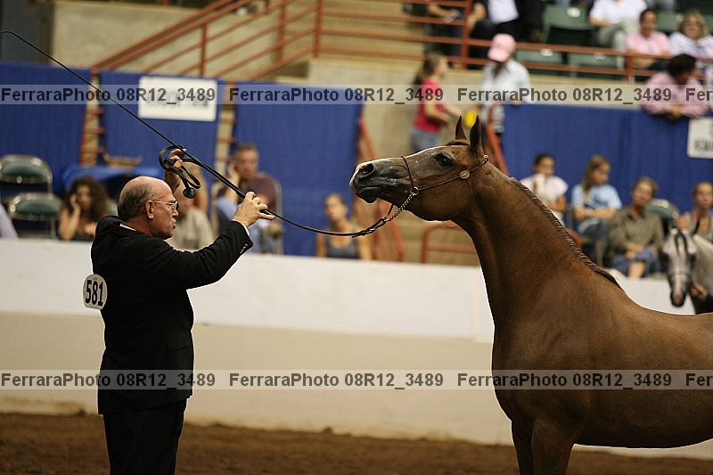 Proof 08r12_3489