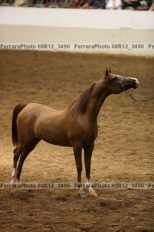 Proof 08r12_3490