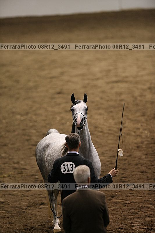 Proof 08r12_3491