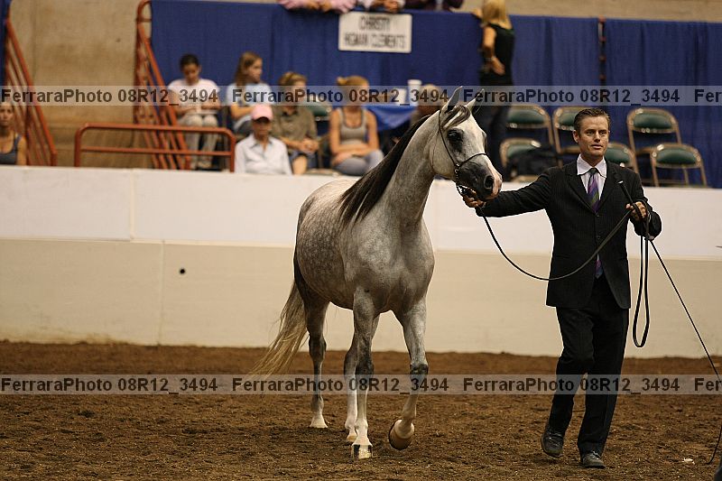 Proof 08r12_3494