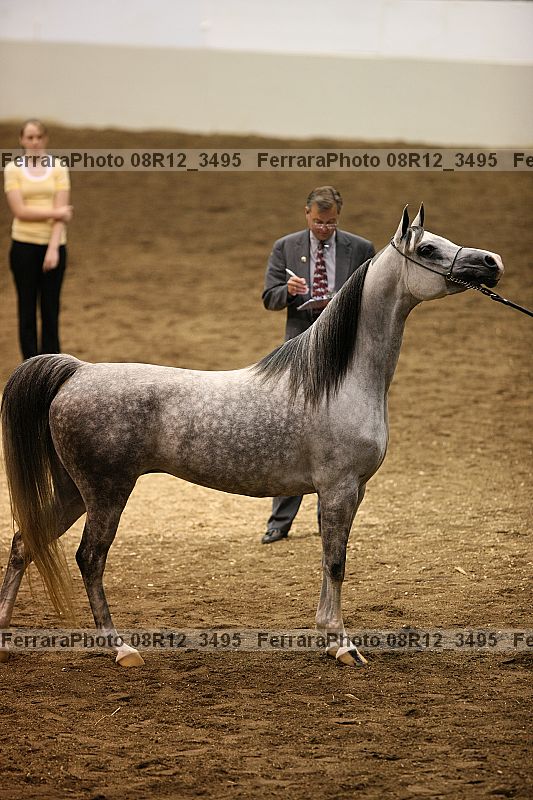 Proof 08r12_3495
