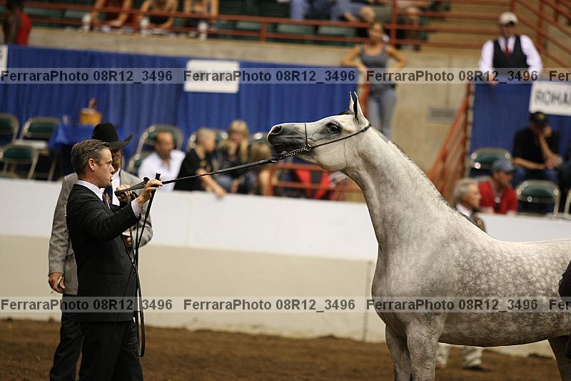 Proof 08r12_3496