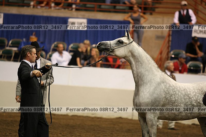 Proof 08r12_3497