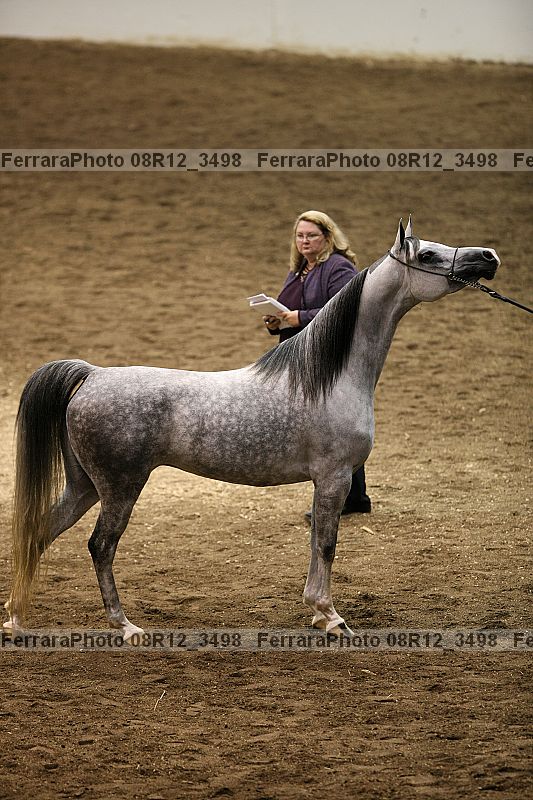 Proof 08r12_3498