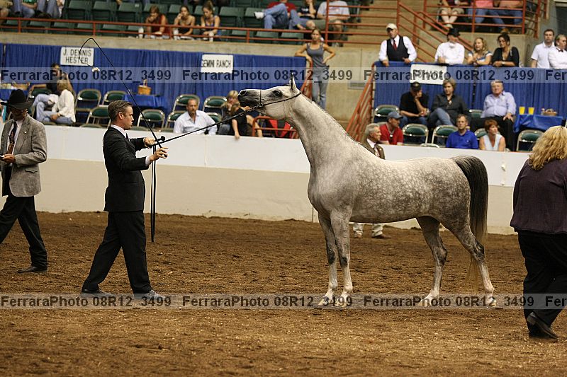 Proof 08r12_3499