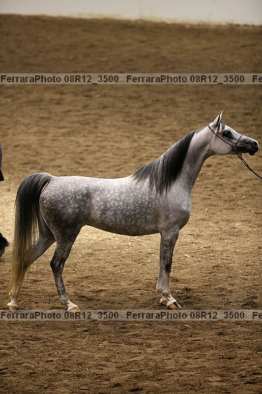 Proof 08r12_3500