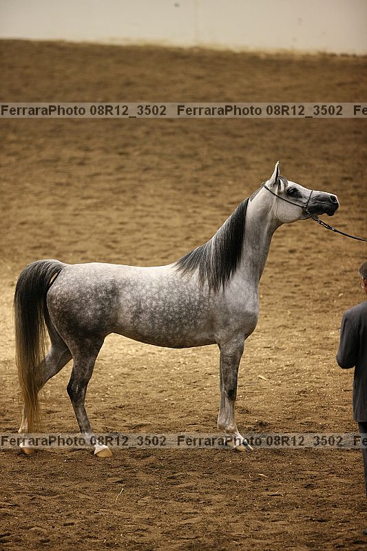 Proof 08r12_3502