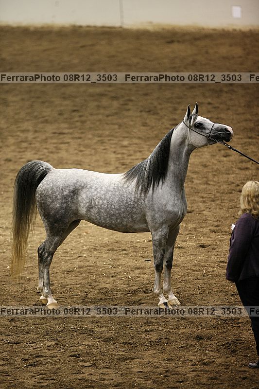Proof 08r12_3503