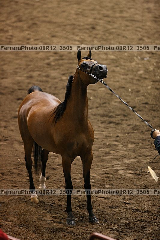 Proof 08r12_3505