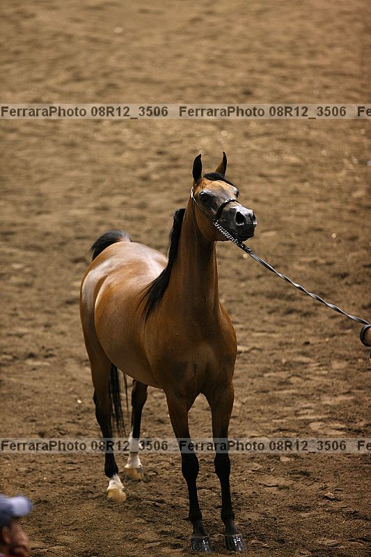 Proof 08r12_3506