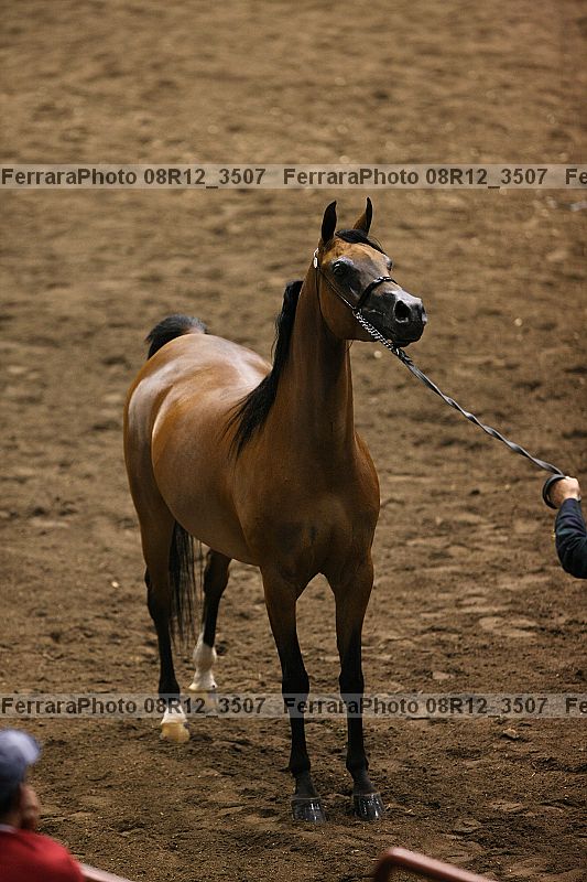 Proof 08r12_3507