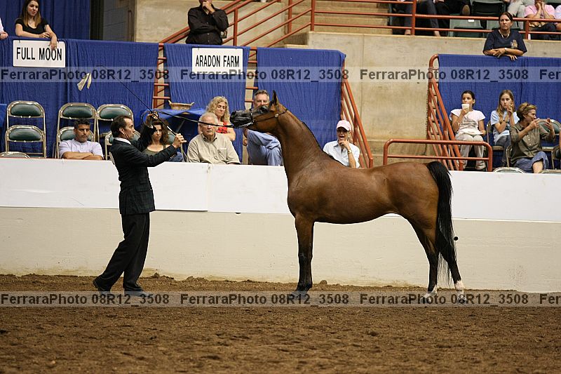 Proof 08r12_3508