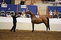 08r12_3508 proof