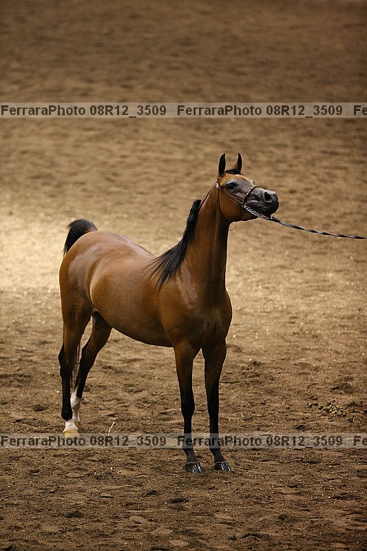 Proof 08r12_3509
