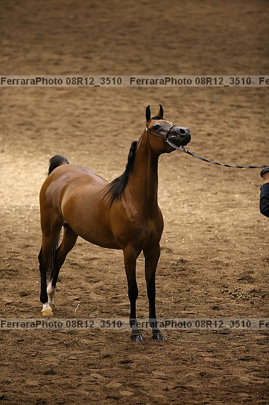 Proof 08r12_3510